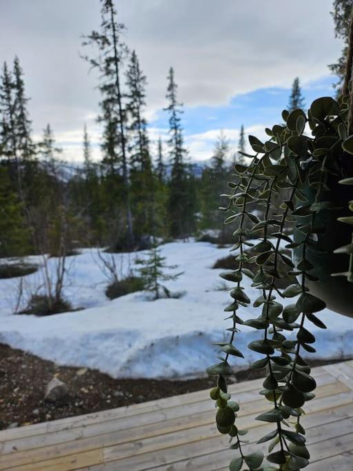 Cozy Mountain Cottage With Beautiful Views & Sauna Beitostolen Экстерьер фото